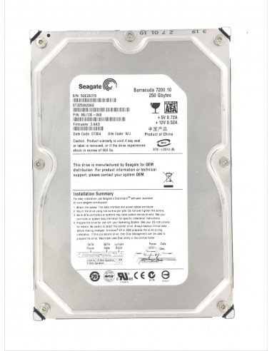 SEAGATE ST3250820AS 9BJ13E-069 Disque...